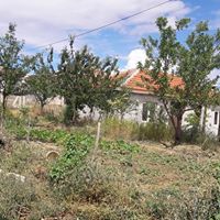 Balâ Tatarhüyük Köyü Resimleri 4