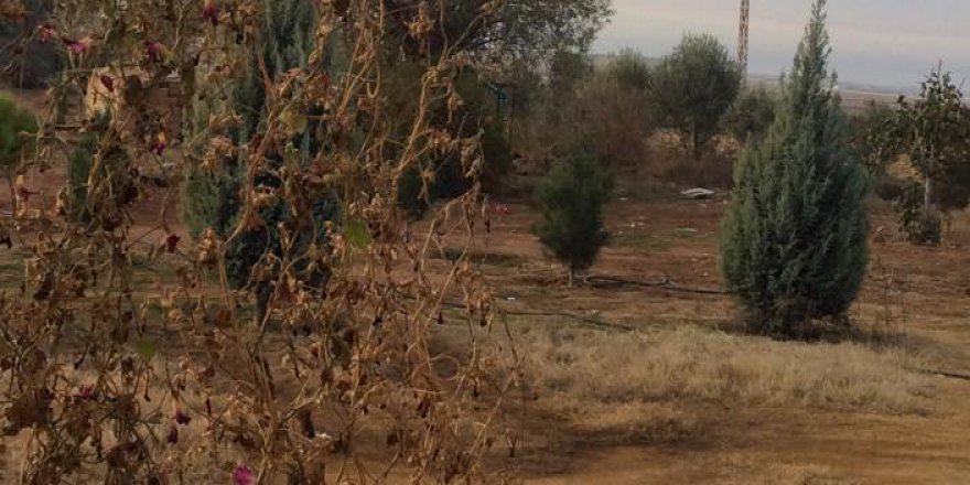 Akçakale Akçaköy Köyü Resimleri