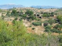 Akçakale Akçalı Köyü Resimleri 6