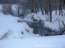 Eflani Paşabey Köyü Resimleri 2