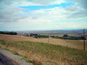 Akçakale Akkeçi Köyü Resimleri 3