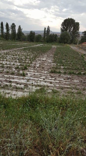 Beypazarı Akçakavak Köyü Resimleri 1