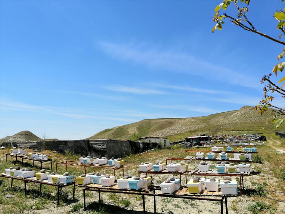 Beypazarı Akçakavak Köyü Resimleri 3