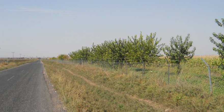 Akçakale Aksahrınç Köyü Resimleri