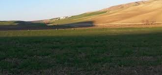 Akçakale Alatlar Köyü Resimleri 9