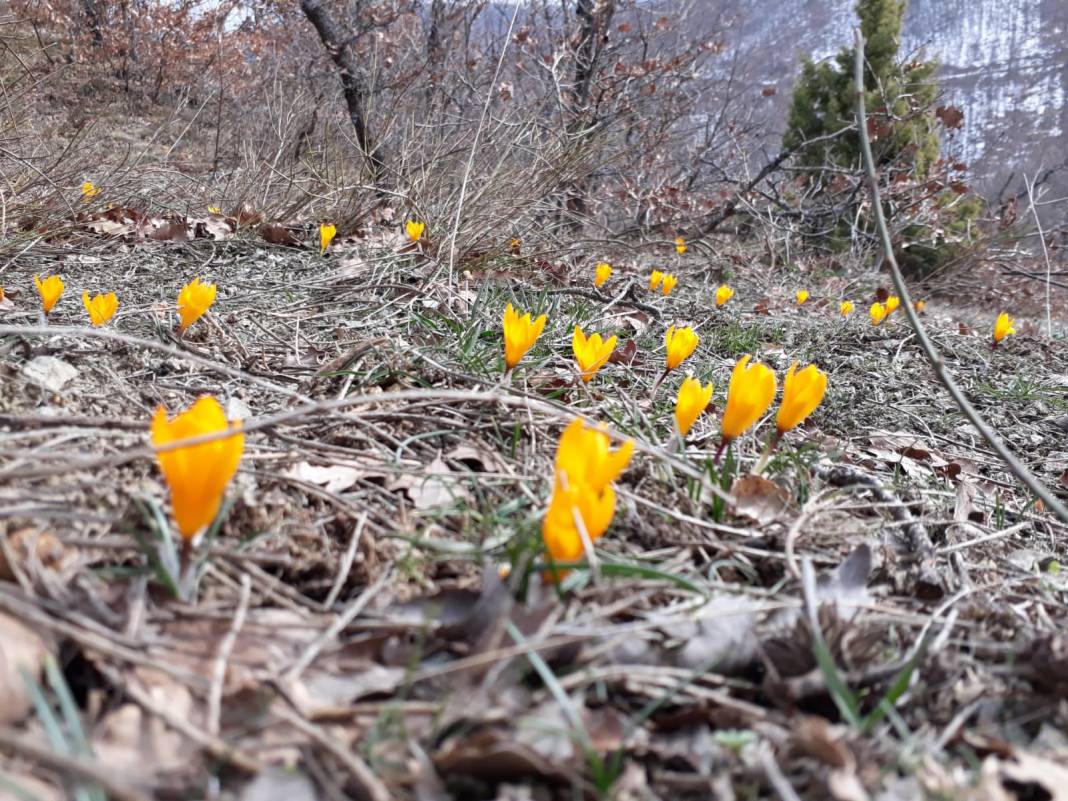 Beypazarı Batça Köyü Resimleri 6