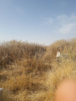 Akçakale Bolatlar Köyü Resimleri 2