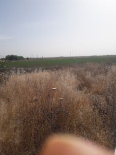 Akçakale Bolatlar Köyü Resimleri 3