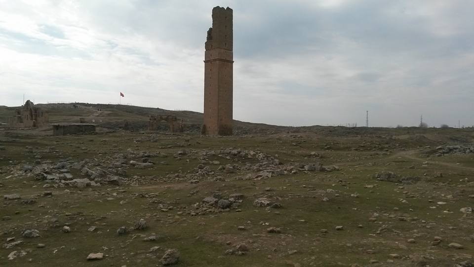 Akçakale Bolatlar Köyü Resimleri 4