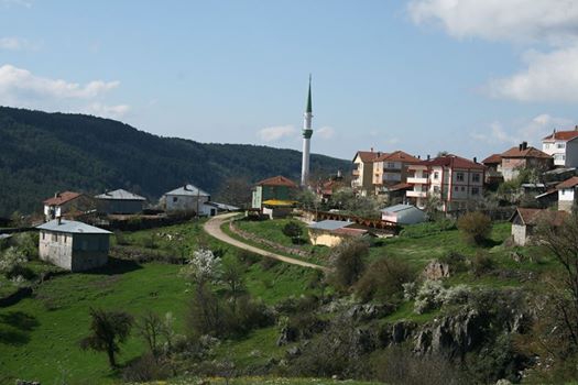 Eflani Saraycık Köyü Resimleri 9