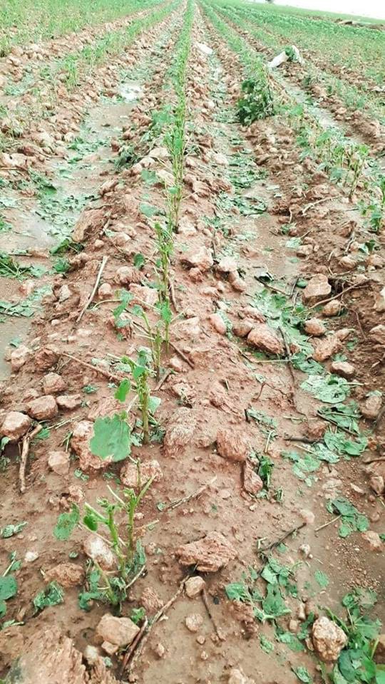 Akçakale Dorumali Köyü Resimleri 2