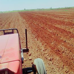 Akçakale Dorumali Köyü Resimleri 4