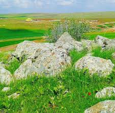 Akçakale Edebey Köyü Resimleri 1