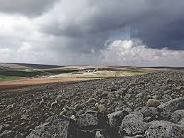 Akçakale Edebey Köyü Resimleri 4