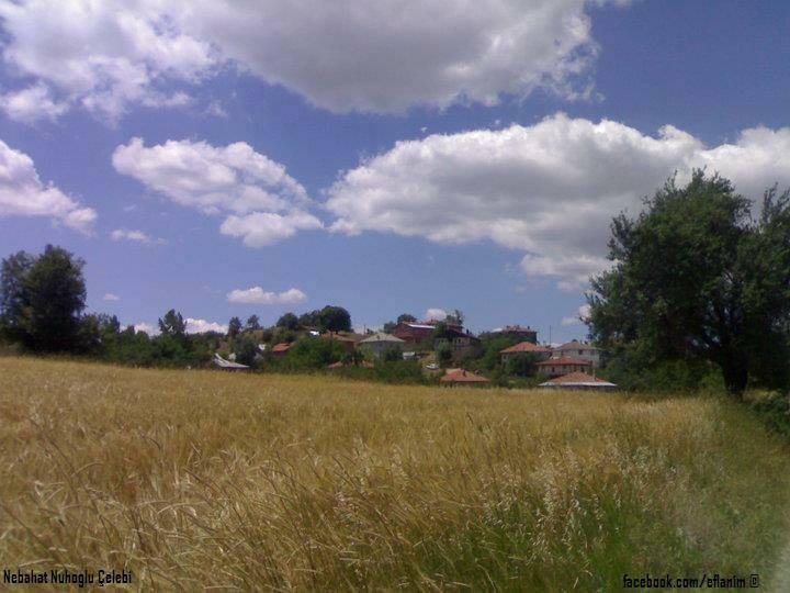 Eflani Şenyurt Köyü Resimleri 1