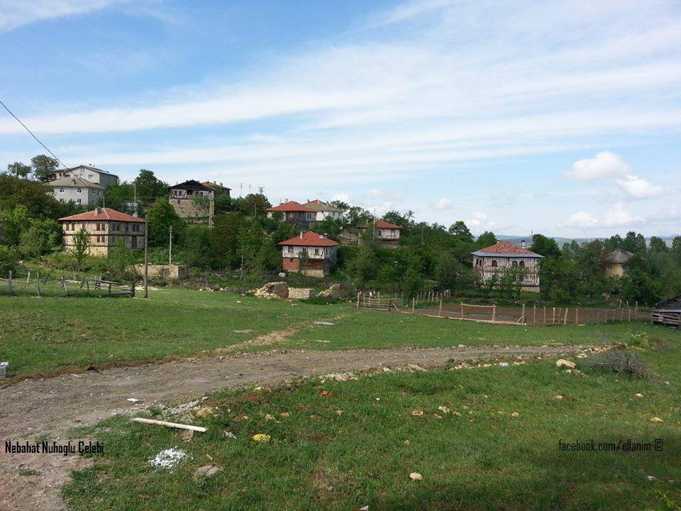 Eflani Şenyurt Köyü Resimleri 4