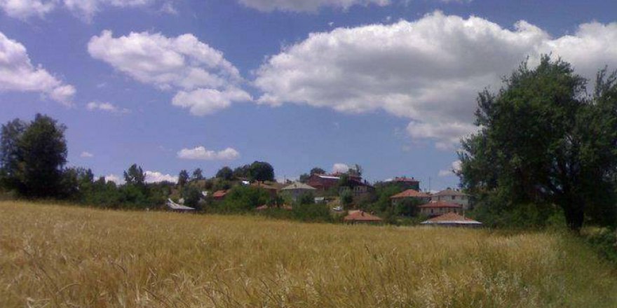 Eflani Şenyurt Köyü Resimleri
