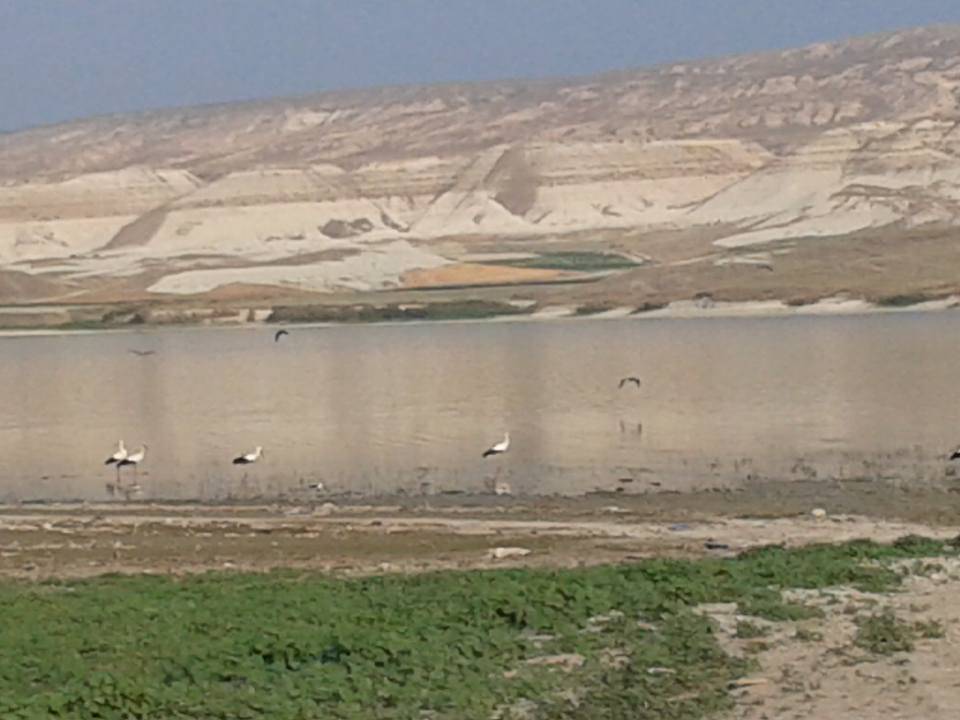 Beypazarı Kayabükü Köyü Resimleri 3