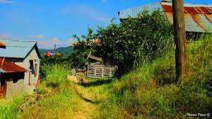 Beypazarı Köseler Köyü Resimleri 6