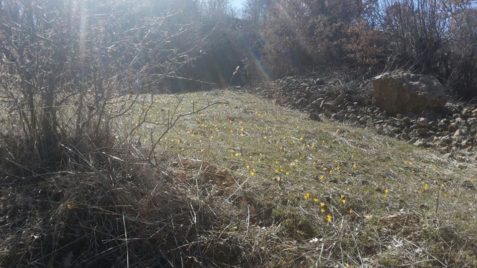 Beypazarı Kurtkovan Köyü Resimleri 10