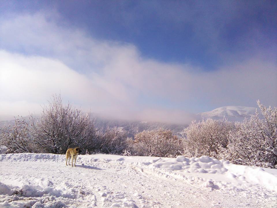 Beypazarı Kurtkovan Köyü Resimleri 2