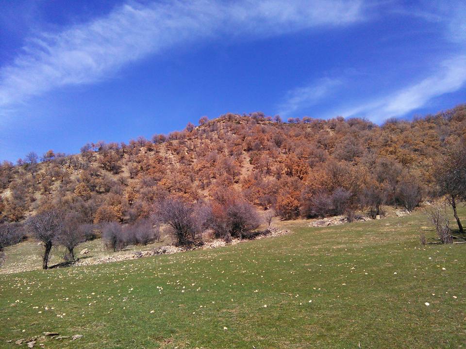 Beypazarı Kurtkovan Köyü Resimleri 5