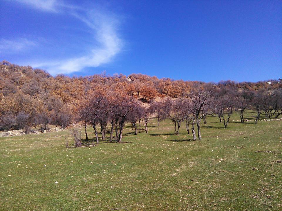 Beypazarı Kurtkovan Köyü Resimleri 8