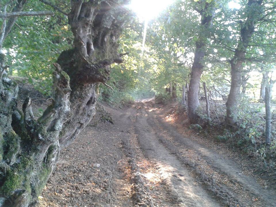 Eflani Yağlıca Köyü Resimleri 2