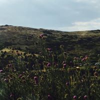 Beypazarı Oymaağaç Köyü Resimleri 5