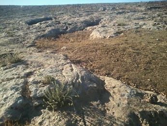 Akçakale Haktanır Köyü Resimleri 3