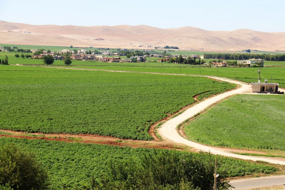 Akçakale Karatepe  Köyü Resimleri 2