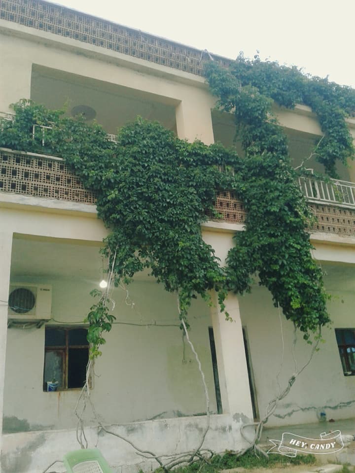 Akçakale Karatepe  Köyü Resimleri 4