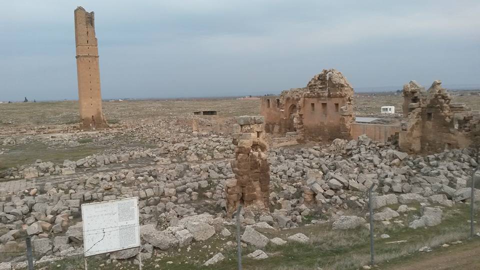 Akçakale Karatepe  Köyü Resimleri 5