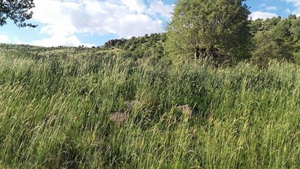 Beypazarı Yukarıgüney Köyü Resimleri 1