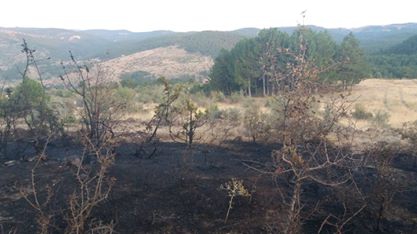 Beypazarı Yukarıgüney Köyü Resimleri 3