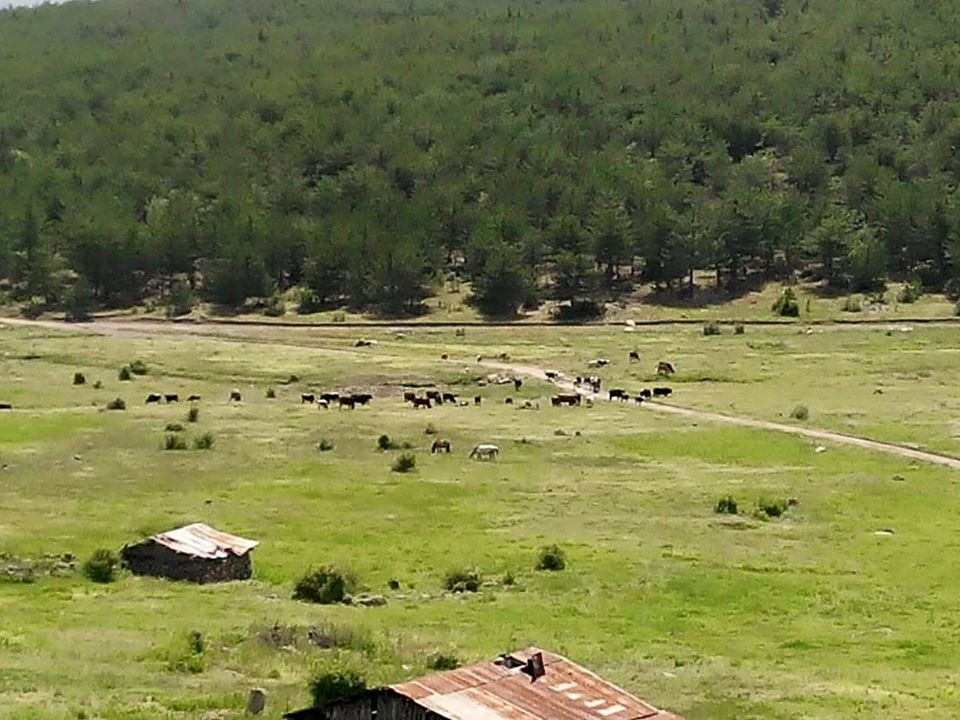 Çamlıdere Akkaya Köyü Resimleri 4
