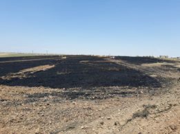 Akçakale Kepezli Köyü Resimleri 1