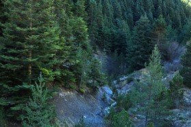 Eskipazar Beytarla Köyü Resimleri 4