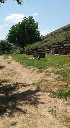 Eskipazar Boncuklar Köyü Resimleri 5