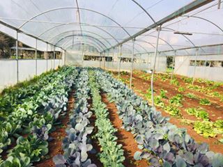 Akçakale Nimet Köyü Resimleri 1