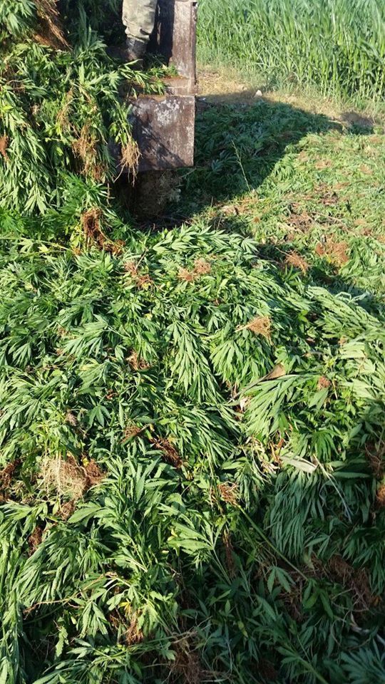 Akçakale Onortak Köyü Resimleri 2
