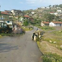 Mamak Kutludüğün Köyü Resimleri 23