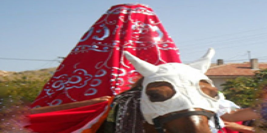 Mamak Kutludüğün Köyü Resimleri