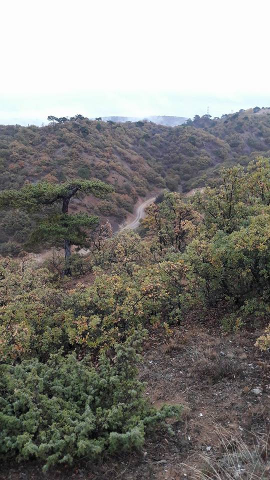 Çubuk Aşağıobruk Köyü Resimleri 15
