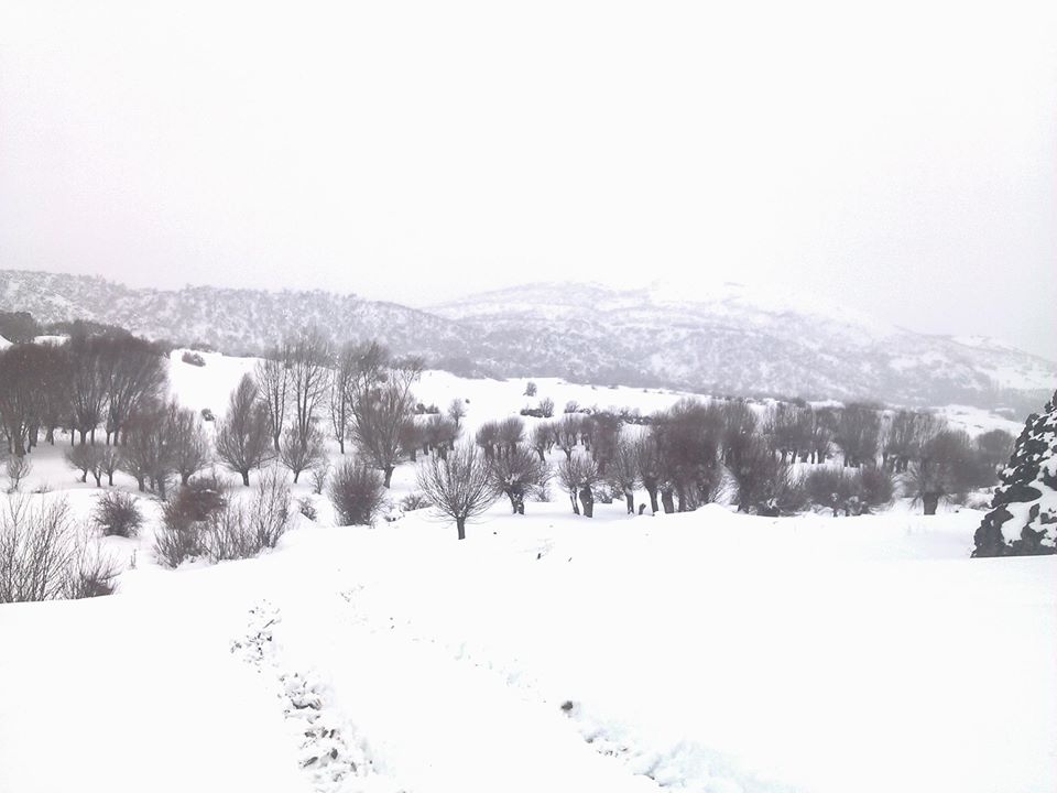 Çubuk Aşağıobruk Köyü Resimleri 6