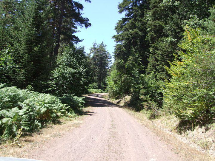 Eskipazar Büyükyayalar Köyü Resimleri 8