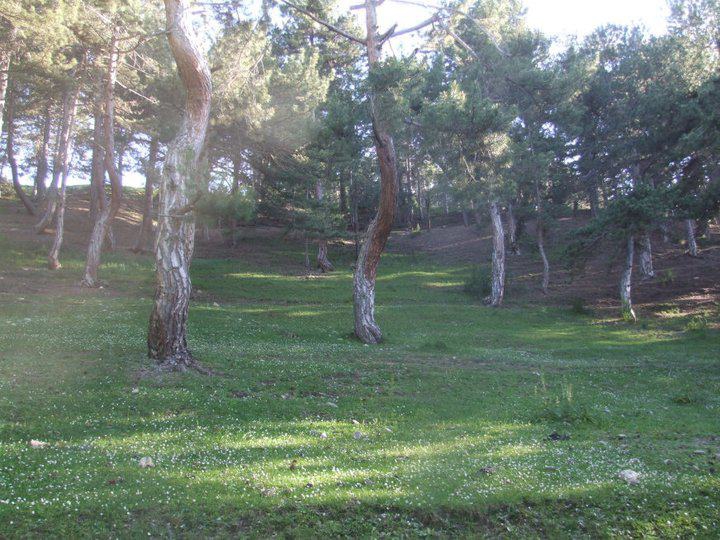 Eskipazar Büyükyayalar Köyü Resimleri 9