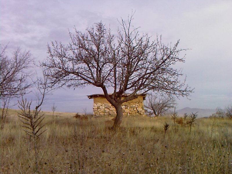 Çubuk Eğriekin Köyü Resimleri 10