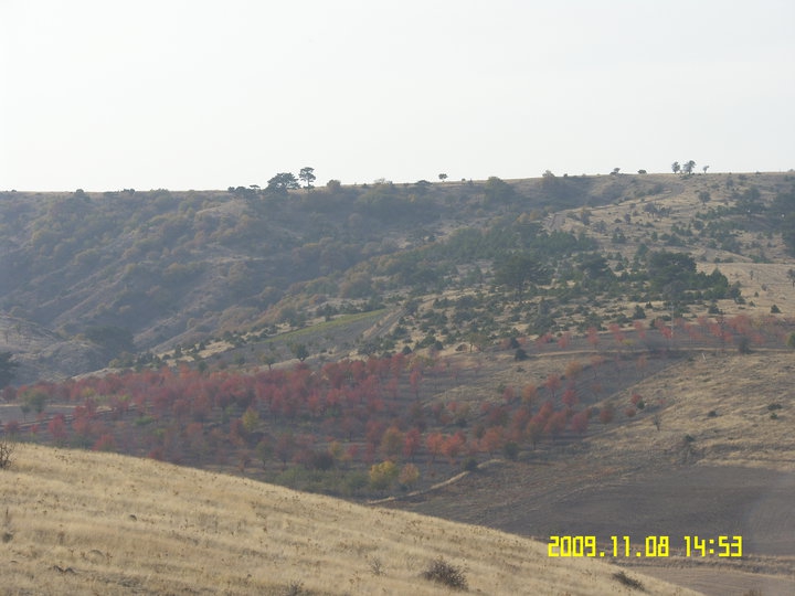 Çubuk Eğriekin Köyü Resimleri 3