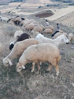 Çubuk Gümüşyayla Köyü Resimleri 4